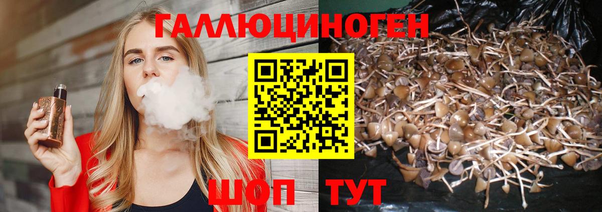 Строитель  Галлюциногенные грибы Cubensis  купить наркоту  Вход с VPN 